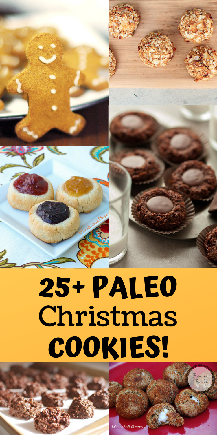 25+ Paleo and Grain Free Christmas Cookies Roundup! • Oh Snap! Let's Eat!