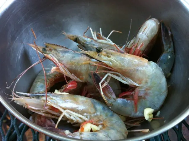 hibachi shrimp