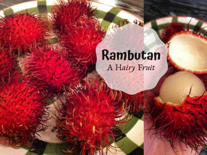A Hairy Fruit: Rambutan