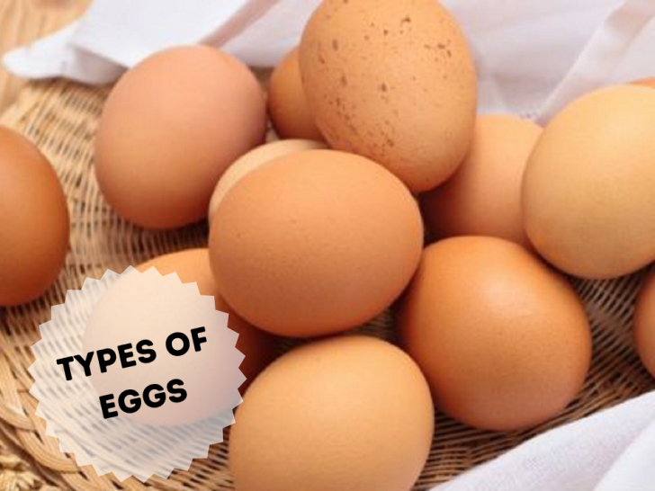 Different Types of Eggs