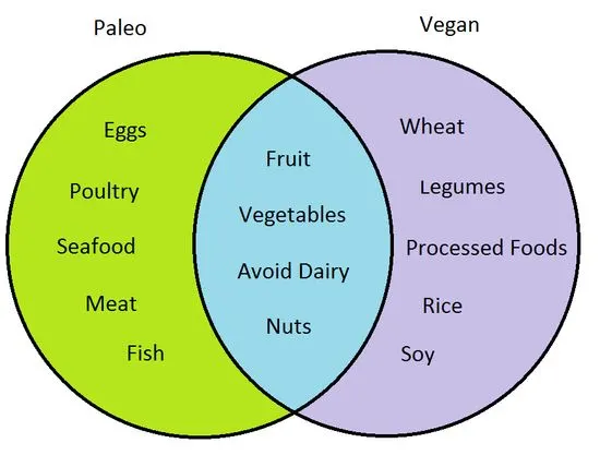 paleo vs vegan