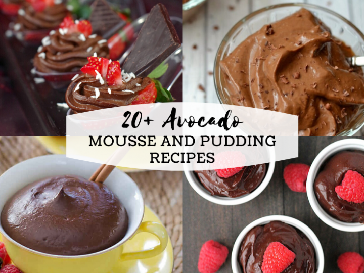 20+ Delicious Avocado Mousse and Puddings!