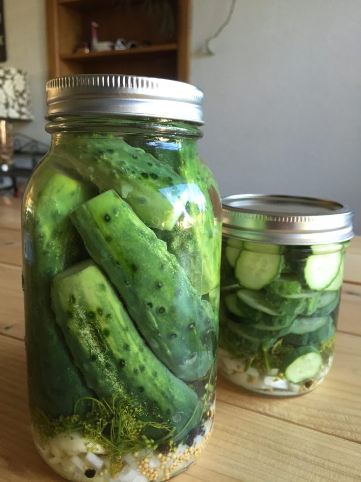 Kosher Refrigerator Dills Pickles (Paleo)