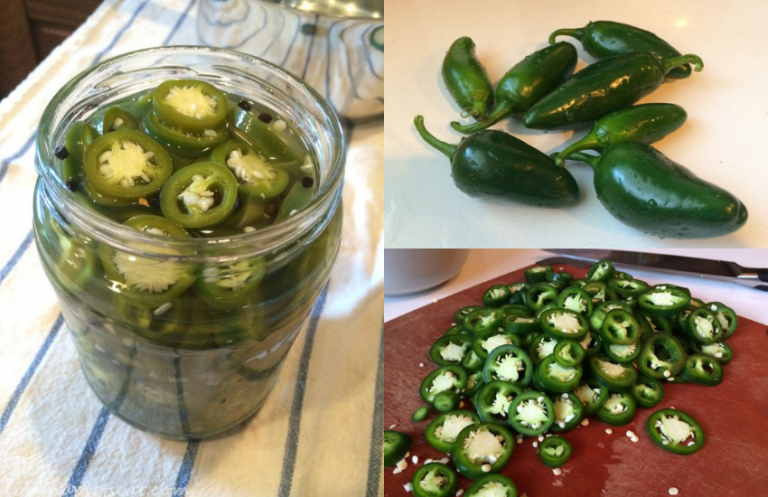 Easy Refrigerator Pickled Jalapeños • Oh Snap! Let's Eat!