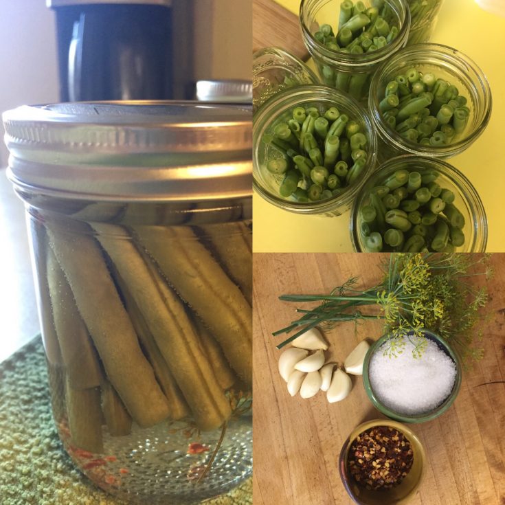 Grandma's Dilly Beans (Pickled Green Beans)
