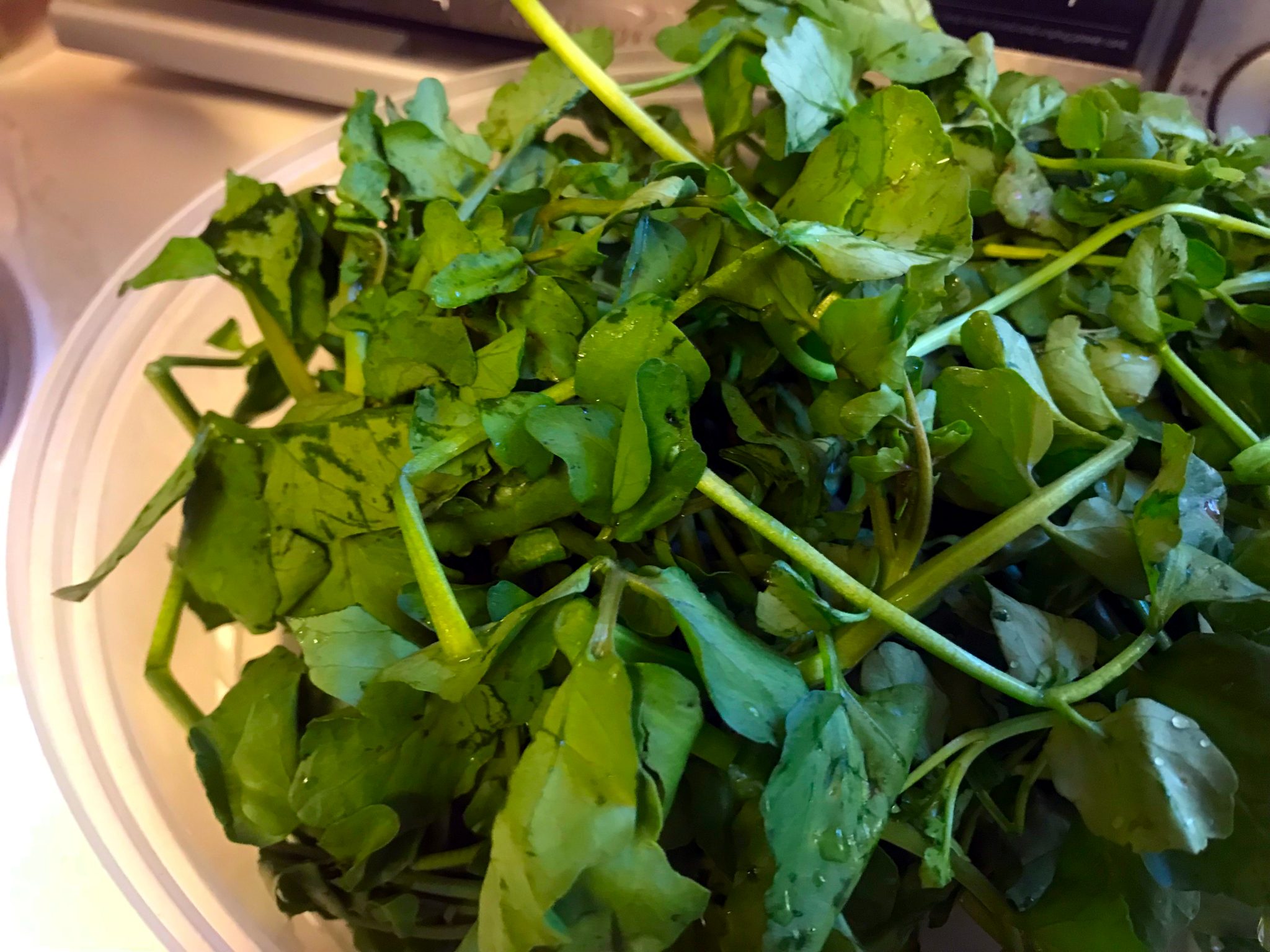 chinese-watercress-with-garlic-stir-fry-paleo-keto-plant-based