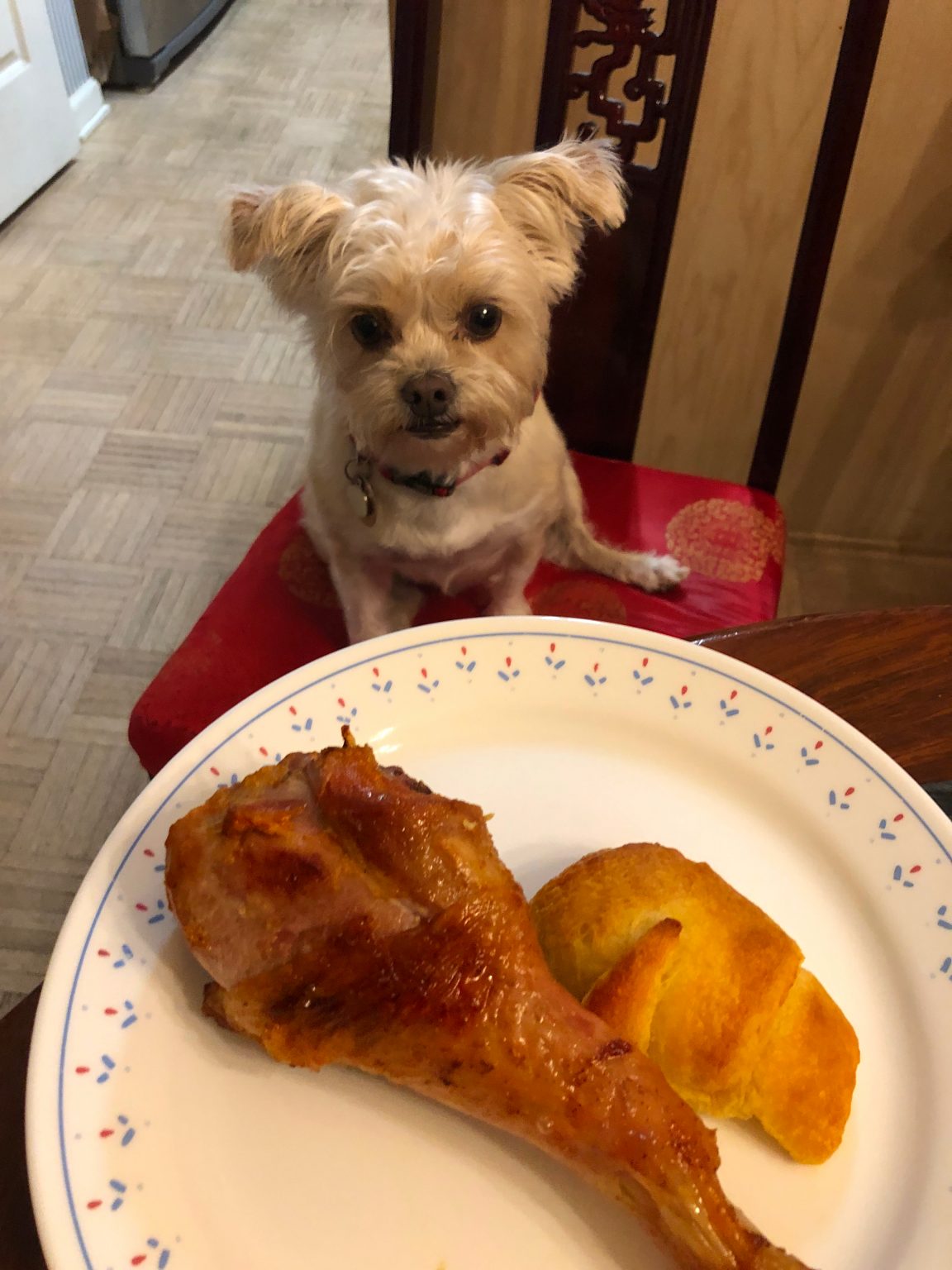 Oven Baked Turkey Legs • Oh Snap! Let's Eat!