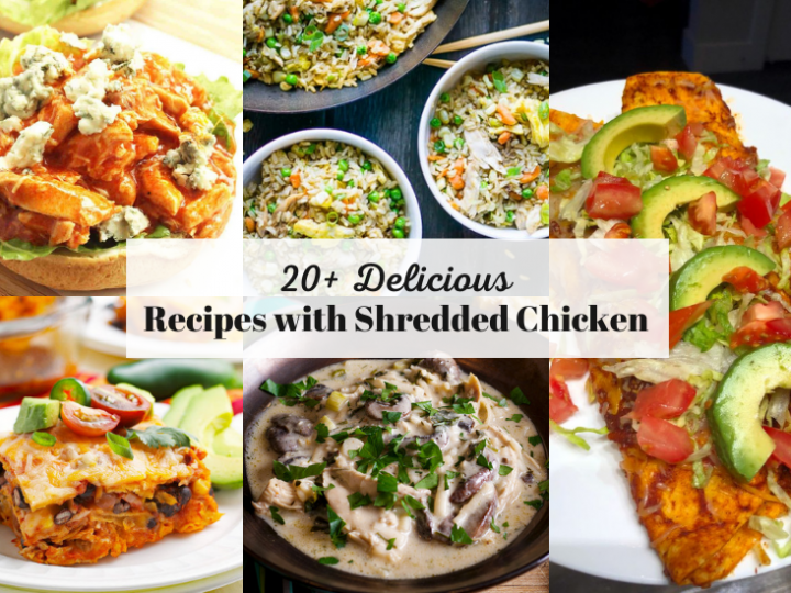 20+ Delicious Leftover Shredded Chicken Recipes