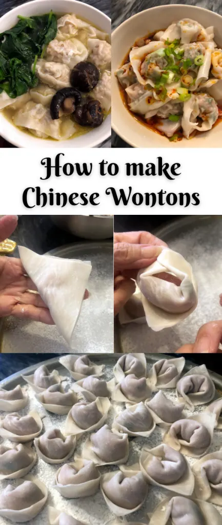  Chinese Wontons Recipe