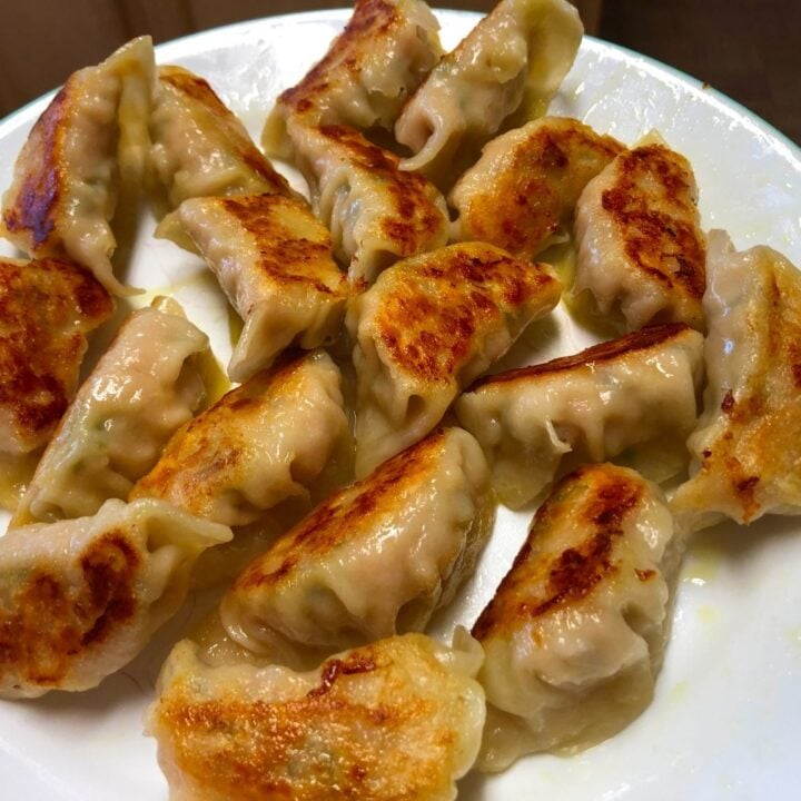 Chinese Pork Dumplings Recipe