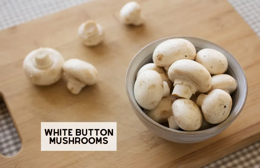 Different Types of Mushrooms