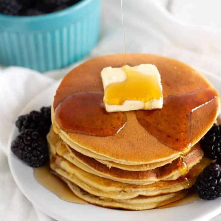 20+ Delicious Paleo Pancakes Recipes! • Oh Snap! Let's Eat!