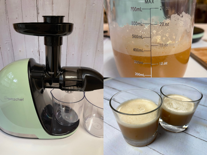 AMZCHEF Slow Masticating Juicer Review