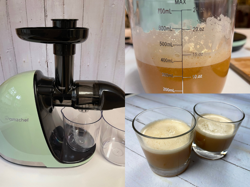 Amzchef slow shop masticating juicer