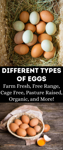 Different Types of Eggs • Oh Snap! Let's Eat!