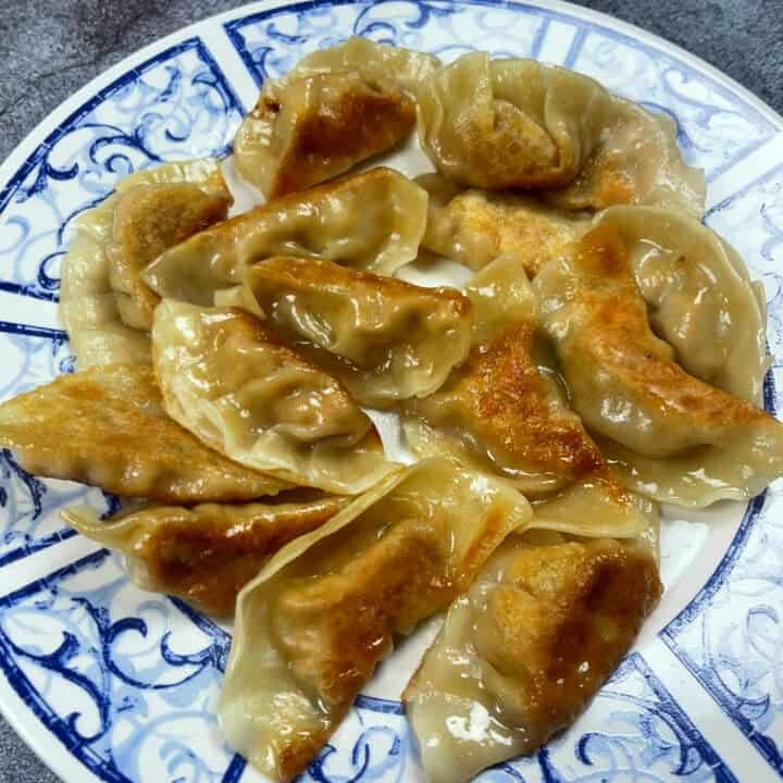Tofu Scallion Ginger Dumplings