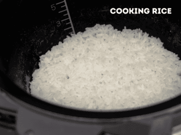Types of Rice Explained: Asian Rice Varieties & Uses