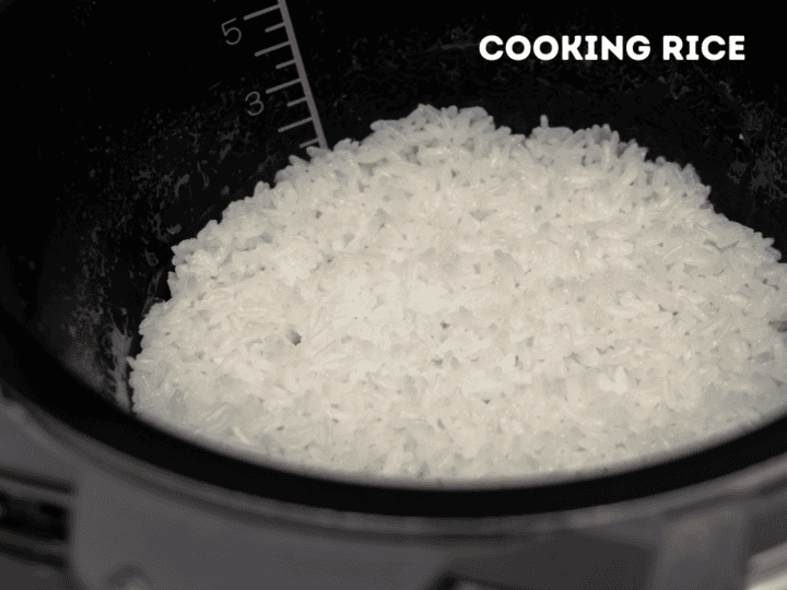 Types of Rice Explained: Asian Rice Varieties & Uses