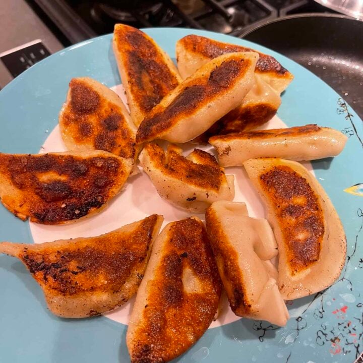 chicken napa cabbage dumplings